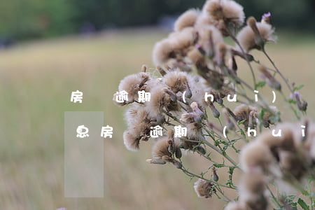 房貸逾期會(huì)長(zhǎng)利息(房貸逾期會(huì)產(chǎn)生利息嗎)