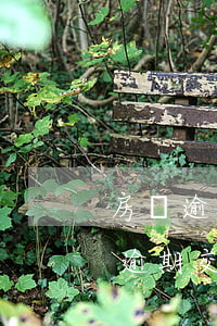 房貸逾期會付法律責(zé)任嗎(房貸每月逾期交有什么后果)