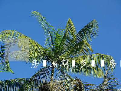 房貸逾期會多還嗎(房貸還款逾期有影響嗎)