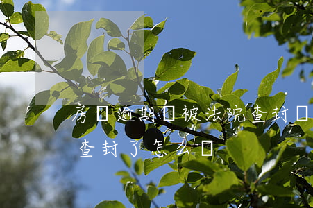 房貸逾期會被法院查封嗎-房貸逾期被法院查封了怎么辦