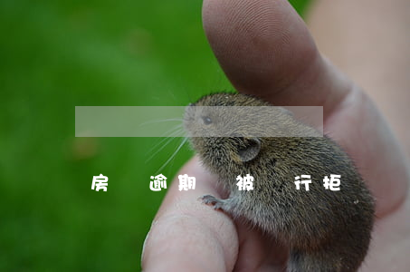 房貸逾期會被銀行拒貸嗎(房貸一般不會被拒)