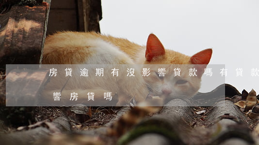 房貸逾期有沒影響貸款嗎(有貸款沒有逾期影響房貸嗎)