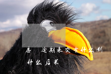 房貸逾期未交有什么影響(房貸每月逾期交有什么后果)