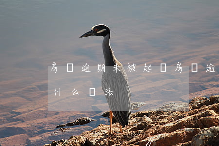 房貸逾期未被起訴(房貸逾期被起訴判決了有什么辦法)