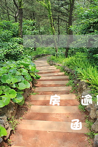 房貸逾期未辦理律師函-房貸逾期未辦理律師函