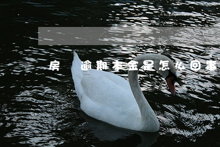 房貸逾期本金是怎么回事(房貸逾期有違約金嗎)