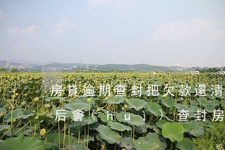 房貸逾期查封把欠款還清(抵押貸款逾期多久后會(huì)查封房子)