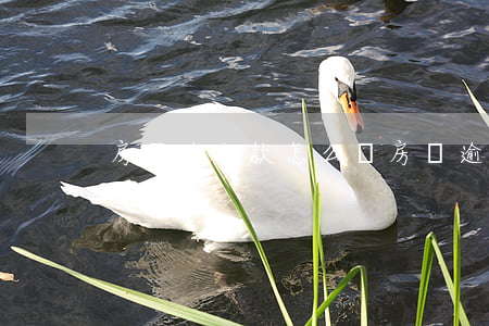 房貸逾期款怎么還(房貸逾期自己怎么還)