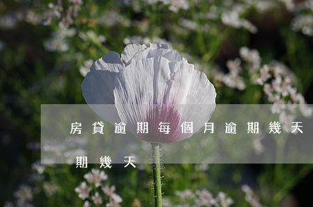 房貸逾期每個月逾期幾天(房貸逾期每個月逾期幾天)