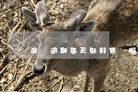 房貸逾期每天都好焦慮啊(房貸逾期什么后果)