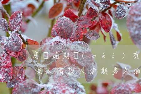 房貸逾期沒(méi)有通知擔(dān)保人(借款人逾期多久通知擔(dān)保人)