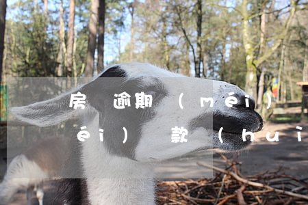 房貸逾期沒(méi)還款(房貸逾期沒(méi)還款會(huì)坐牢嗎)