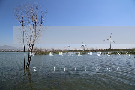 房貸逾期法拍利息怎么算(房貸逾期利息和罰息計(jì)算公式)