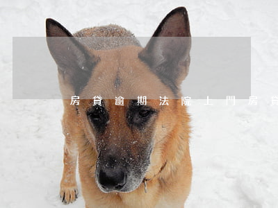 房貸逾期法院上門(房貸逾期法院上門了)