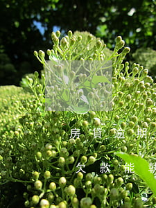 房貸逾期法院保全是什么意思(保全房屋超出欠款能執(zhí)行嗎)