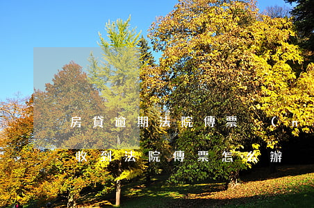 房貸逾期法院傳票內(nèi)容 房貸逾期收到法院傳票怎么辦
