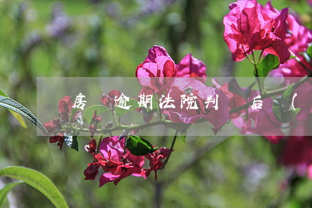 房貸逾期法院判決后協(xié)商