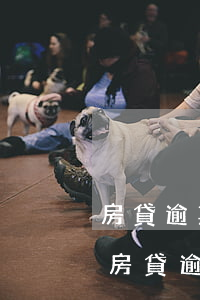 房貸逾期法院判決后還能協(xié)商嗎(房貸逾期法院判決還能和解嗎)