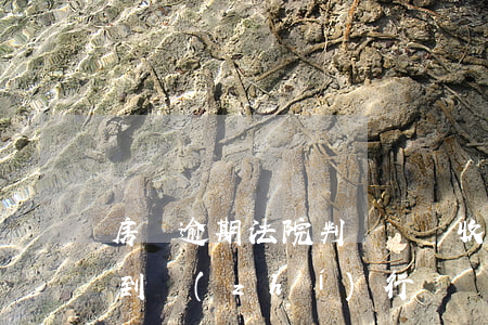 房貸逾期法院判決書沒收到(房貸逾期被判決到執(zhí)行)