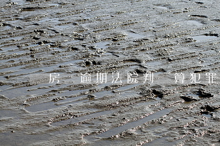 房貸逾期法院判決算犯罪嗎(貸款逾期判刑)