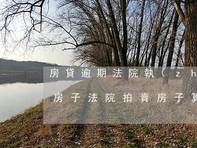 房貸逾期法院執(zhí)行了啥時候拍賣房子（法院拍賣房子算逾期嗎）