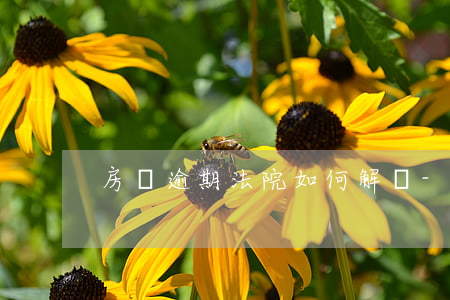 房貸逾期法院如何解決-房貸逾期怎么解決