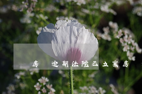 房貸逾期法院已立案(房貸逾期法院判決)