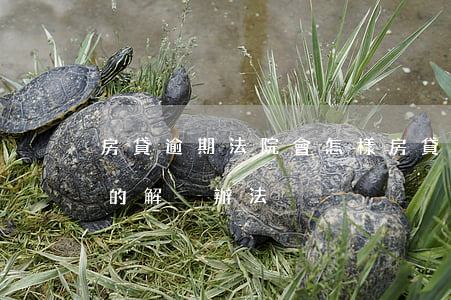 房貸逾期法院會怎樣(房貸逾期多久會被起訴的解決辦法)