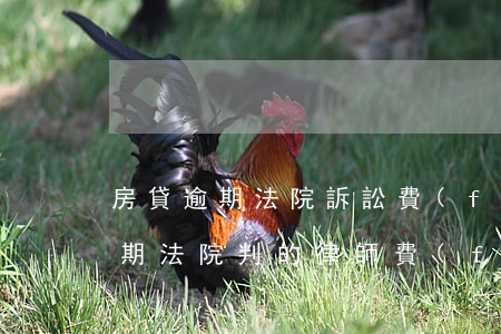 房貸逾期法院訴訟費(fèi)多少（房貸逾期法院判的律師費(fèi)）