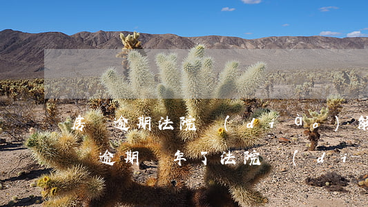 房貸逾期法院調(diào)解后又逾期(房貸逾期兩年了,法院調(diào)解完)