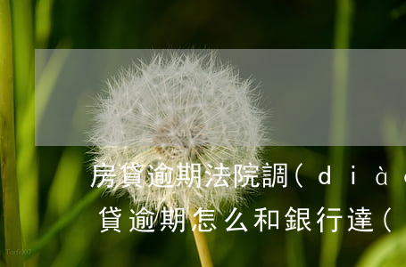 房貸逾期法院調(diào)解怎么陳述(房貸逾期怎么和銀行達(dá)成和解)