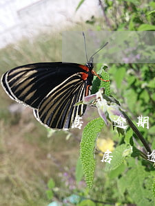 房貸逾期法院起訴了還可以協(xié)商嗎(房貸逾期法院起訴判決還可以協(xié)商嗎)