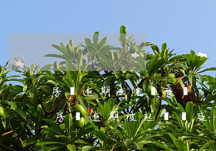 房貸逾期法院開庭當(dāng)庭宣判嗎 房貸逾期被起訴開庭一般是如何判決