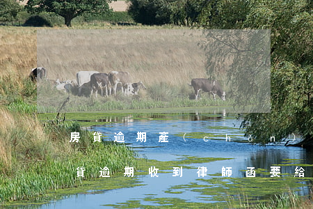 房貸逾期產(chǎn)生的律師費咋算(房貸逾期收到律師函要給律師費用嗎)