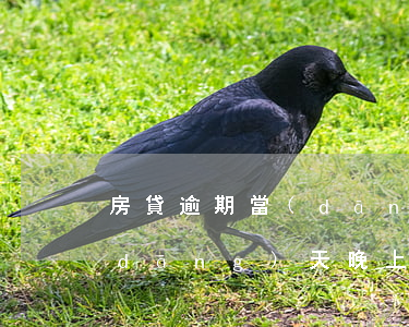 房貸逾期當(dāng)天還上(還房貸當(dāng)天晚上還算逾期嗎)