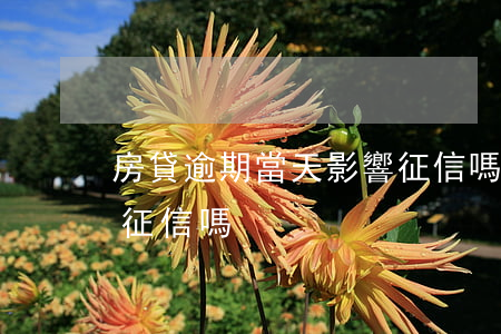 房貸逾期當天影響征信嗎(房貸逾期一天會上征信嗎)