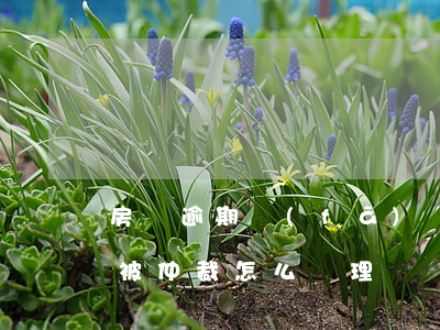 房貸逾期發(fā)來仲裁通知書(房貸逾期被仲裁怎么處理)