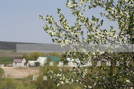 房貸逾期的人越來越多了(房貸逾期會有什么后果)
