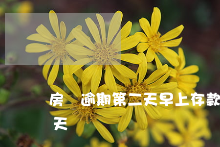 房貸逾期第二天早上存款(二手房貸款逾期一天)