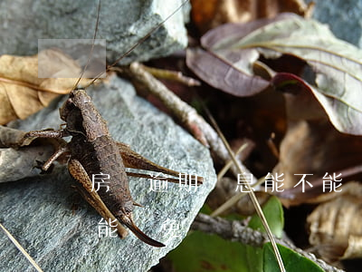 房貸逾期罰息能不能減免(房貸逾期罰息能不能減免)