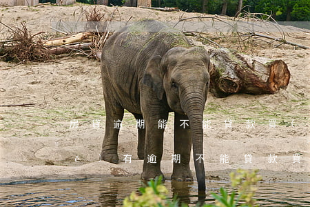 房貸逾期能不能貸款買(mǎi)車(chē)(有逾期不能貸款買(mǎi)車(chē)嗎)