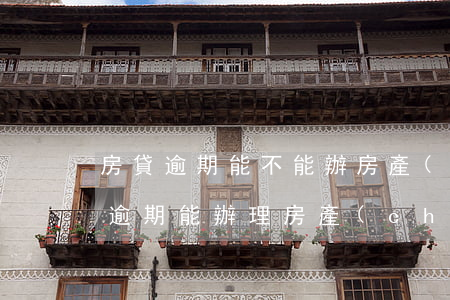 房貸逾期能不能辦房產(chǎn)證(房貸逾期能辦理房產(chǎn)證嗎)