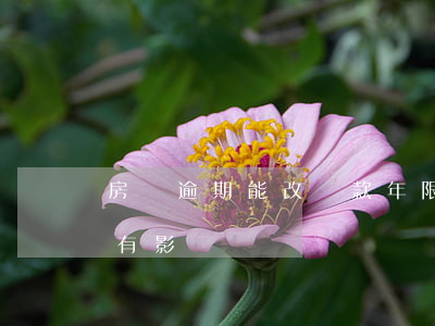房貸逾期能改還款年限嗎(房貸還款逾期幾天有影響嗎)