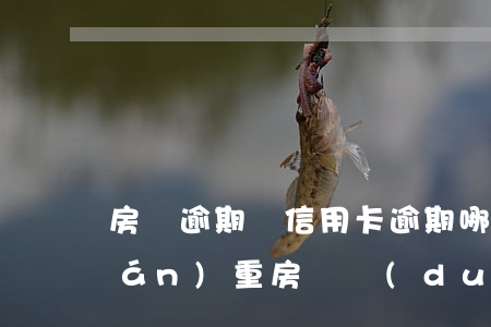 房貸逾期與信用卡逾期哪個(gè)嚴(yán)重（房貸對(duì)信用卡逾期）