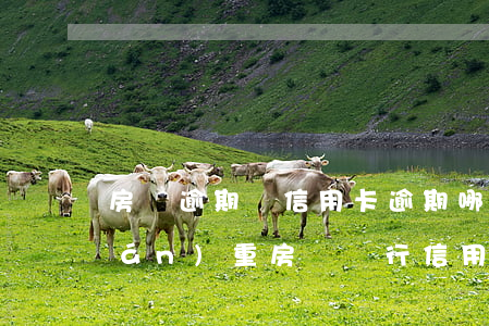 房貸逾期與信用卡逾期哪個(gè)嚴(yán)重（房貸銀行信用卡逾期了怎么辦）