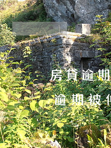 房貸逾期被中梁地產(chǎn)仲裁(房貸逾期被仲裁怎么處理)