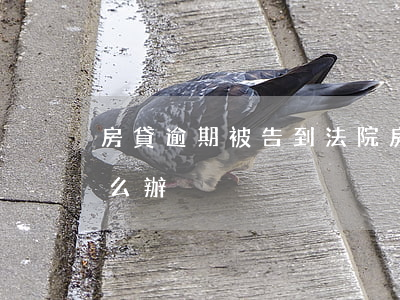 房貸逾期被告到法院(房貸逾期被法院起訴怎么辦)