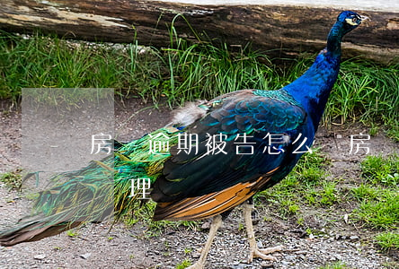 房貸逾期被告怎么辦（房貸逾期法院起訴如何處理）