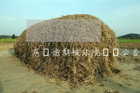 房貸逾期被法院張貼公告