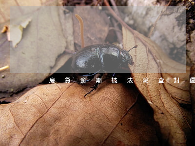 房貸逾期被法院查封還能商量嗎